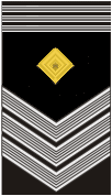 iceland-army-command-sergeant-major