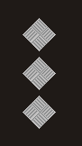 Captain