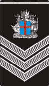 1st. Sergeant