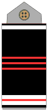 EMT-P