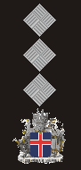 Colonel