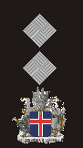Lieutenant Colonel